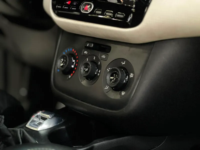 Fiat Punto Branco