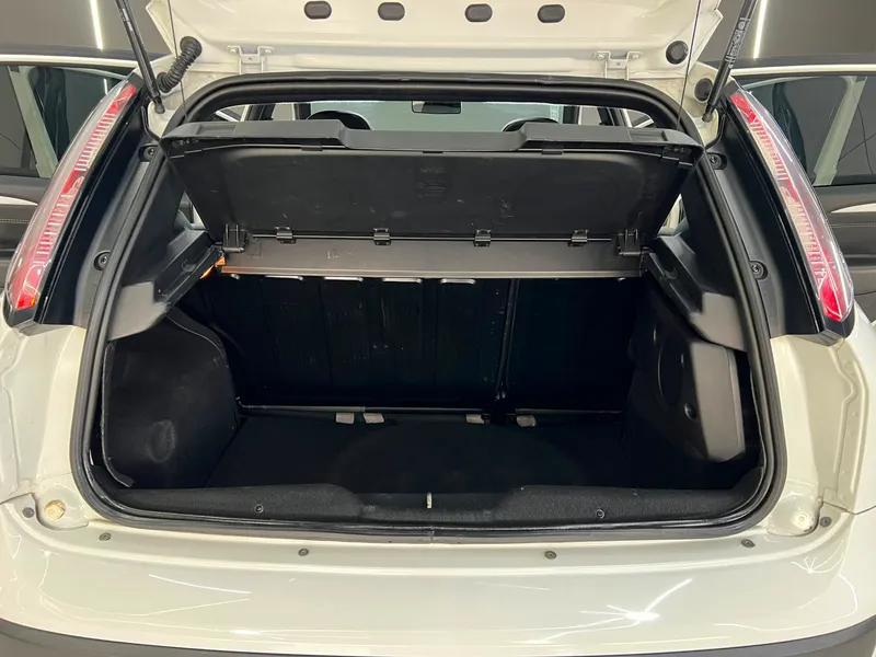 Fiat Punto Branco