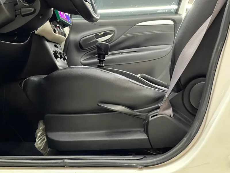 Fiat Punto Branco