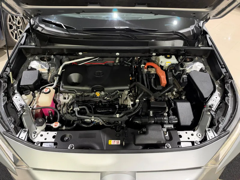 Toyota RAV4 Prata