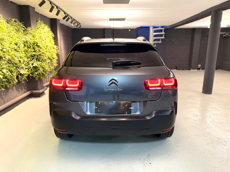 Citroen C4 Cactus Cinza