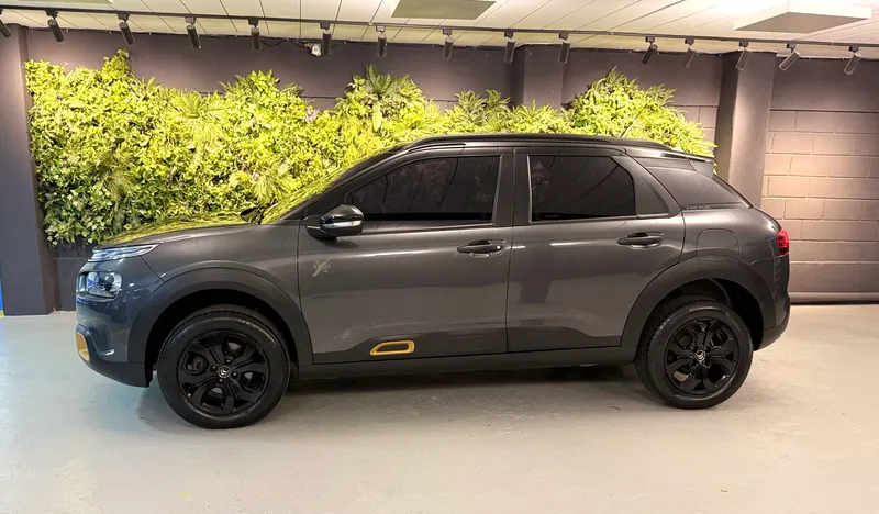 Citroen C4 Cactus Cinza
