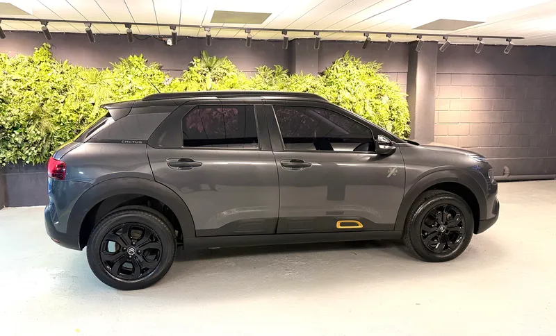 Citroen C4 Cactus Cinza
