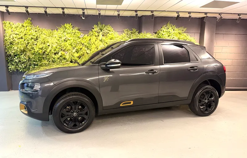 Citroen C4 Cactus Cinza
