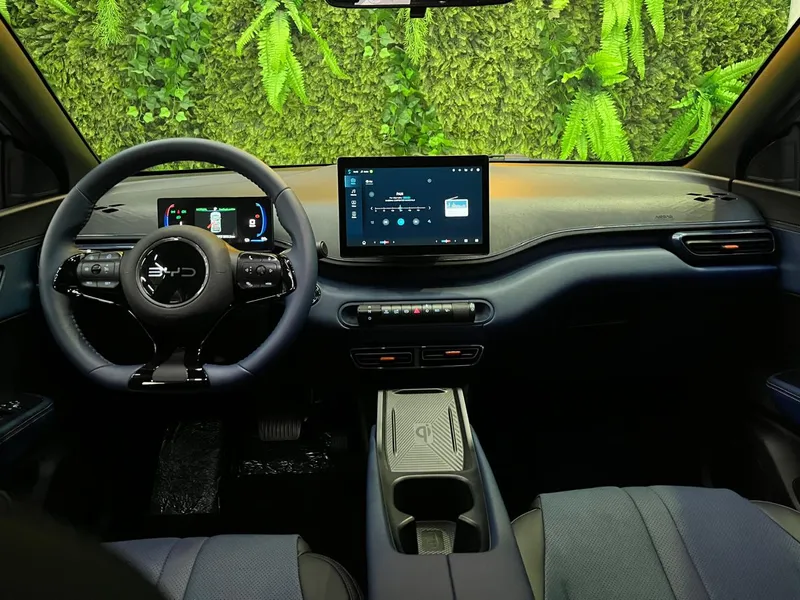 carro