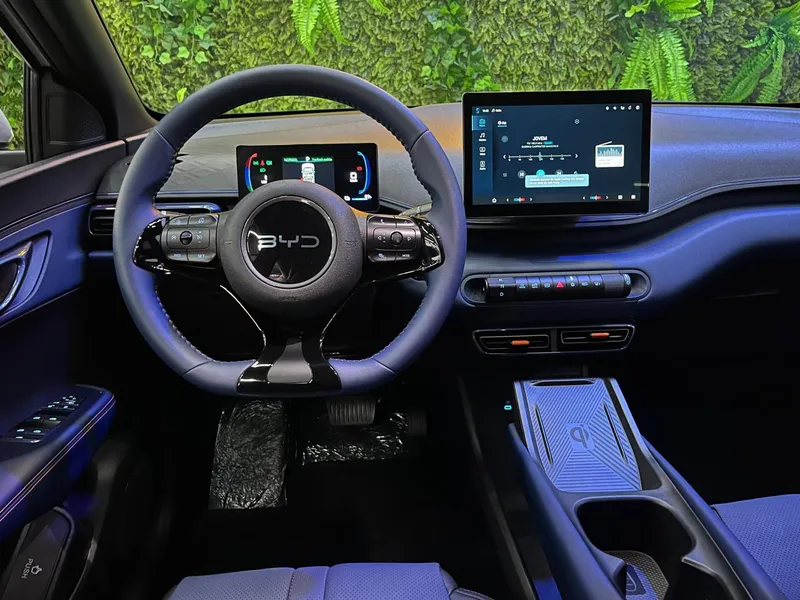 carro