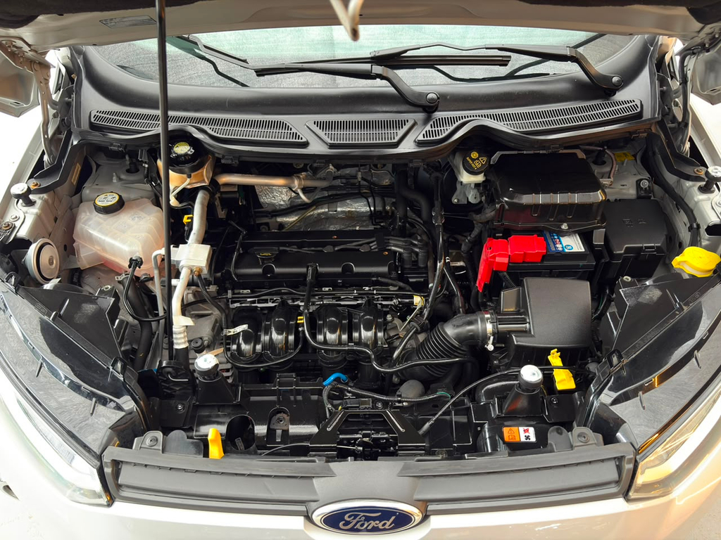 Ford EcoSport Prata