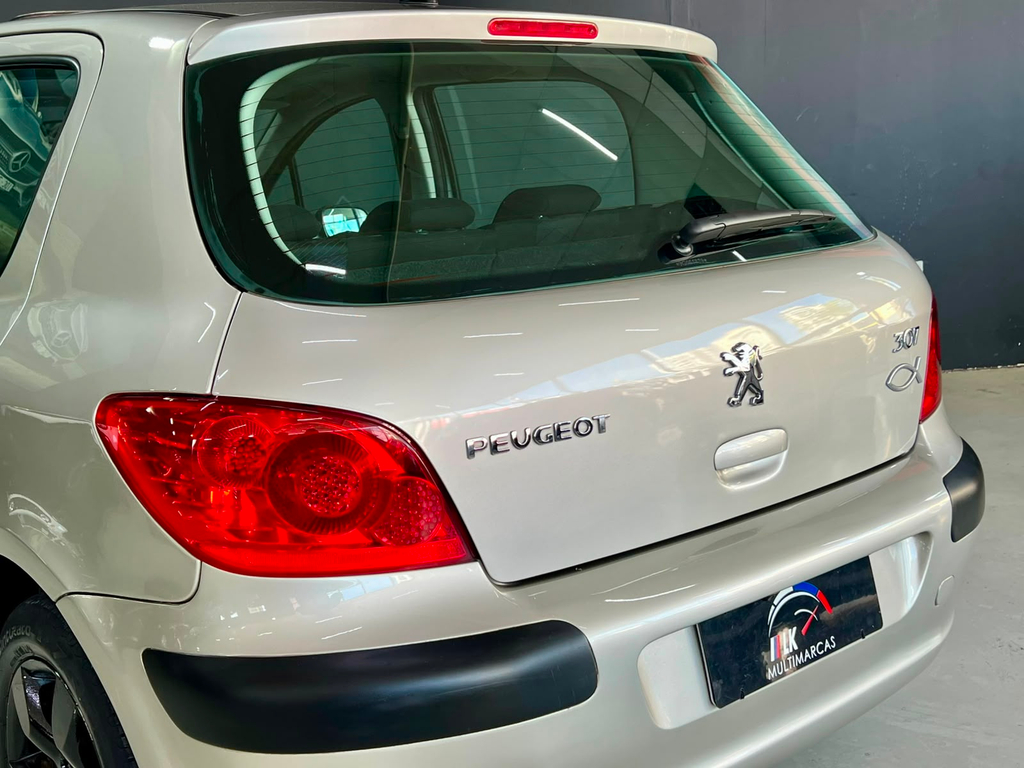 Peugeot 307 Prata