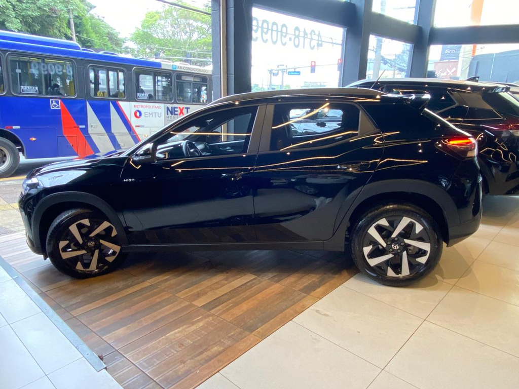 Volkswagen Tera Preto