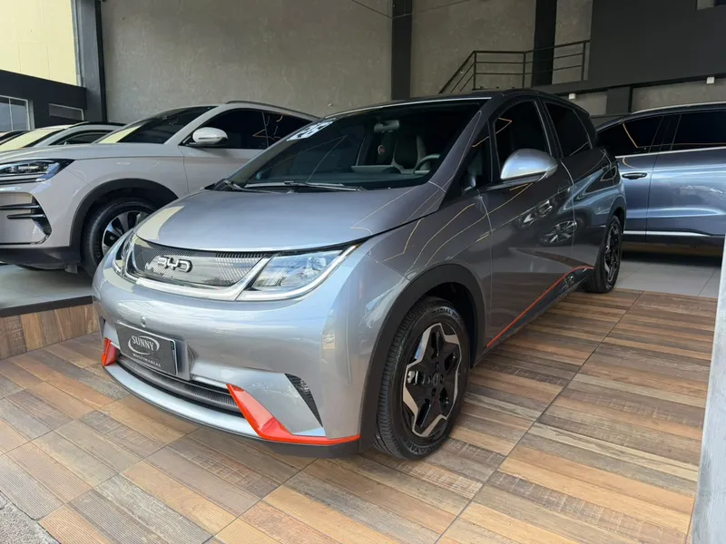 BYD Dolphin Cinza