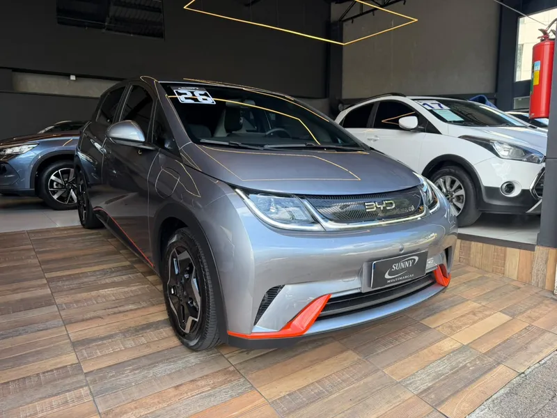BYD Dolphin Cinza