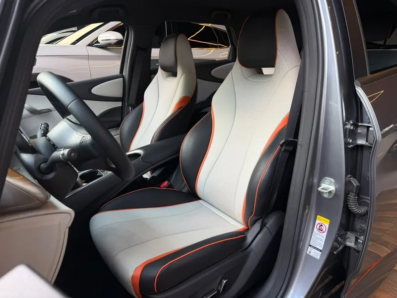 BYD Dolphin Cinza