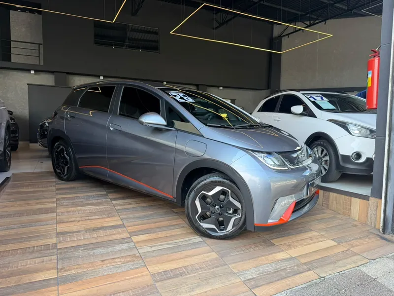 BYD Dolphin Cinza