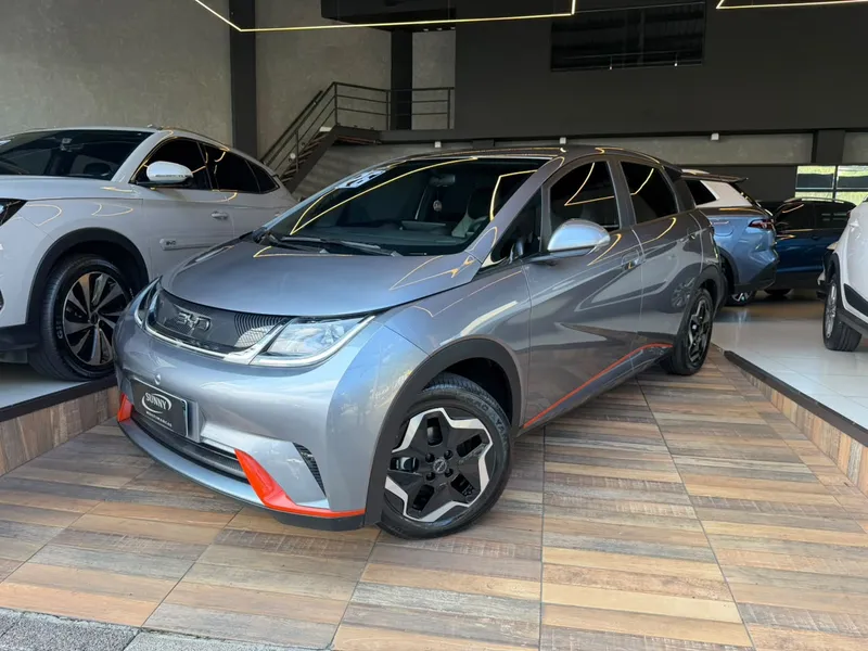 BYD Dolphin Cinza