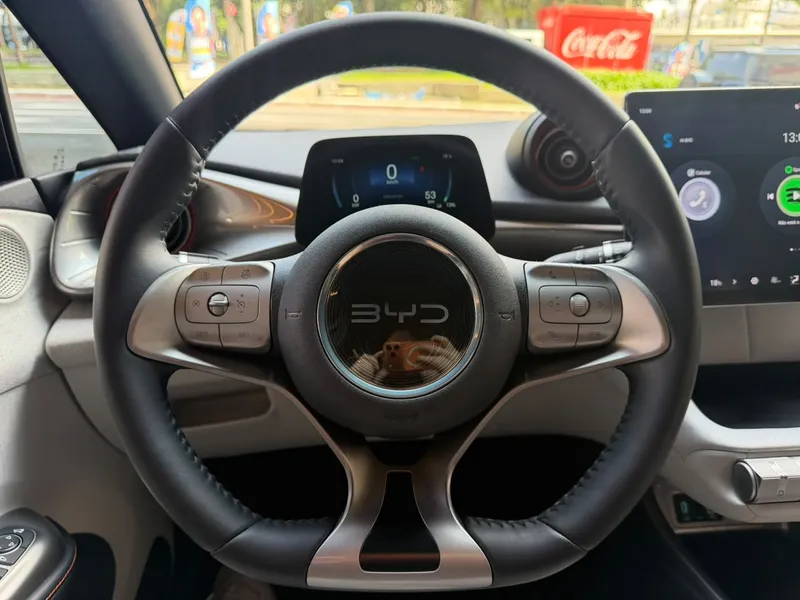 BYD Dolphin Cinza