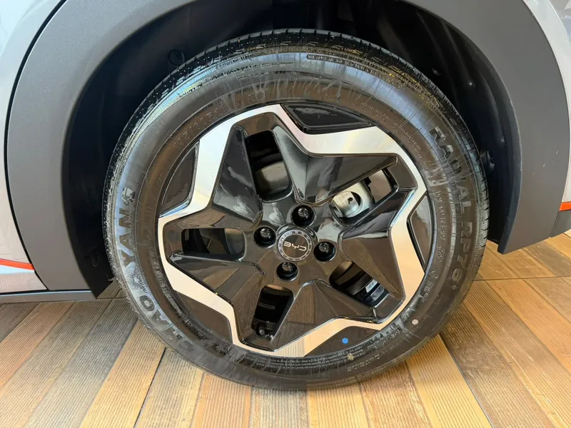 BYD Dolphin Cinza