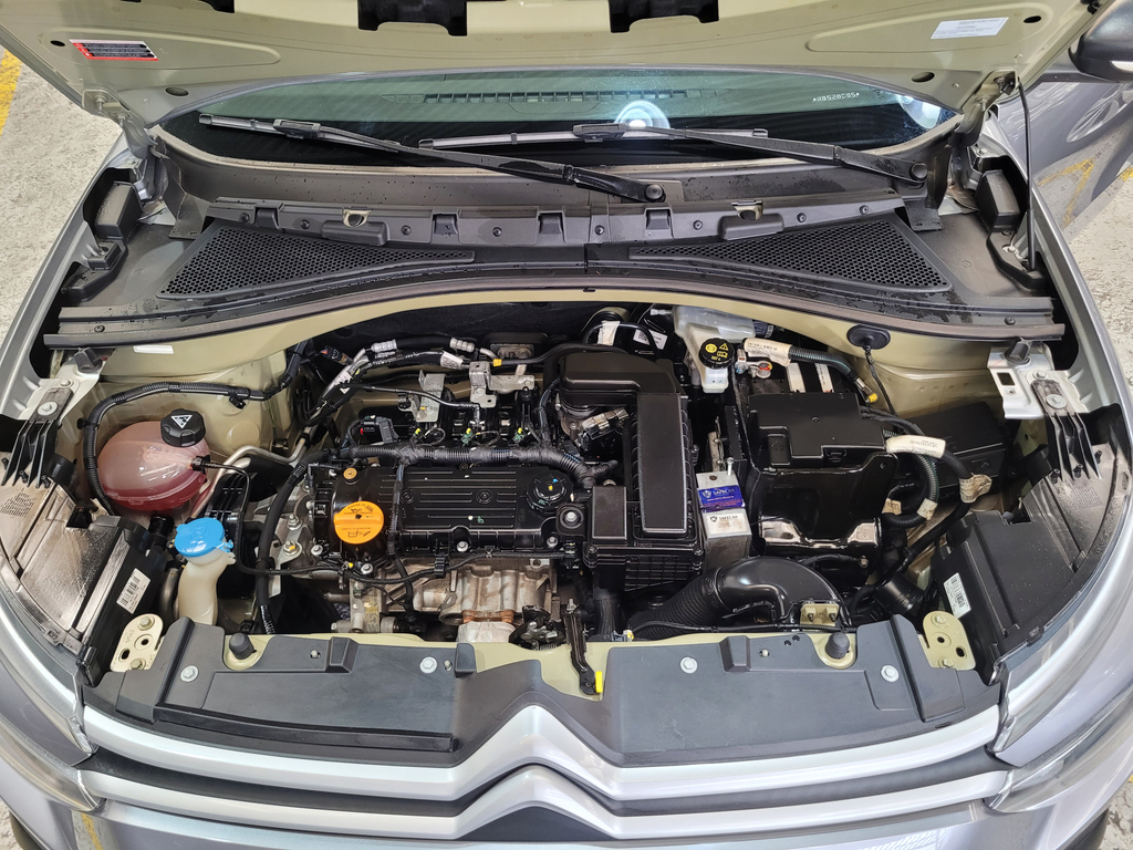 Citroen C3 Cinza