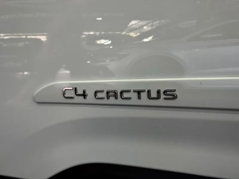 Citroen C4 Cactus Branco