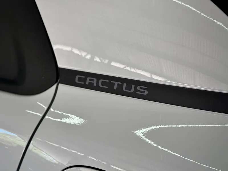 Citroen C4 Cactus Branco
