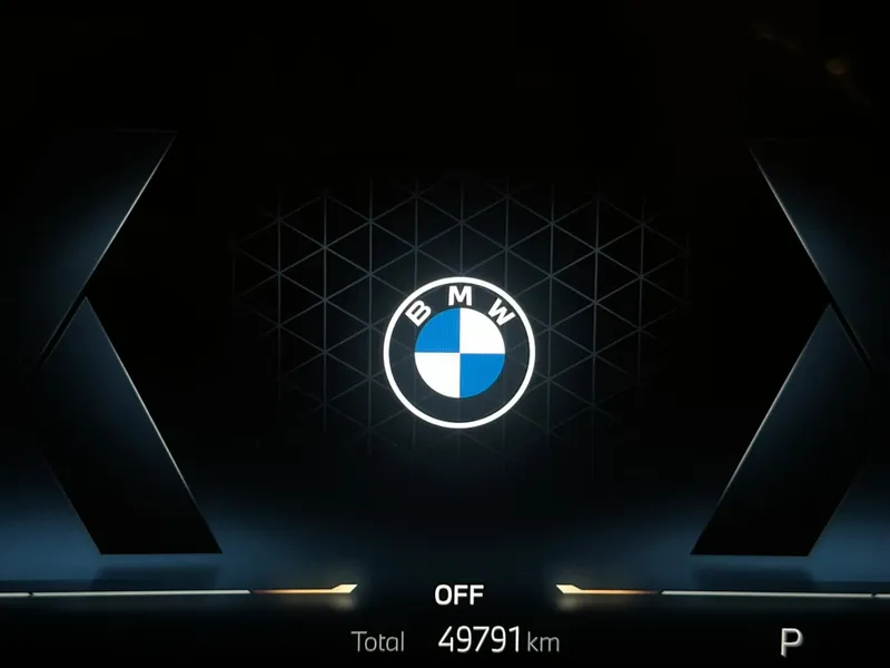 BMW Série 3 Cinza