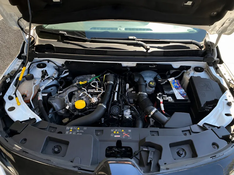 Renault Kardian Branco