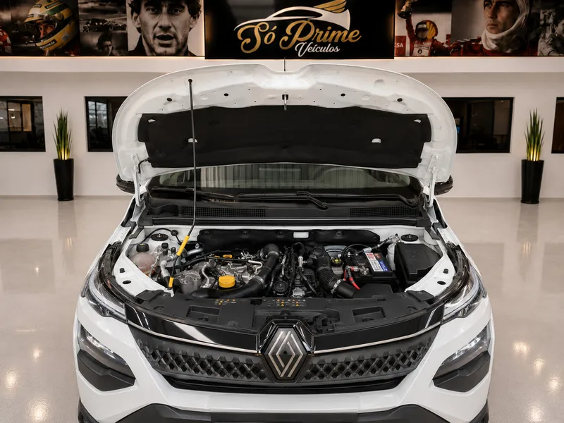 Renault Kardian Branco