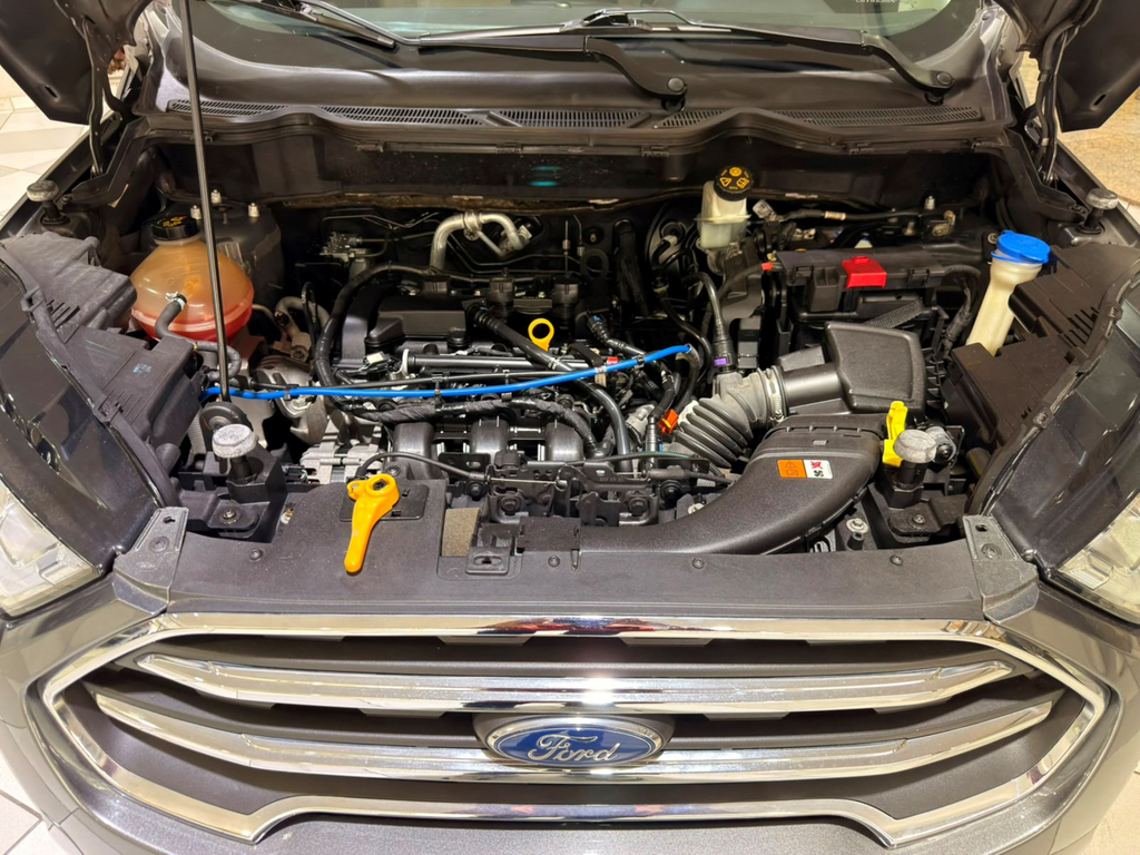 Ford EcoSport Cinza