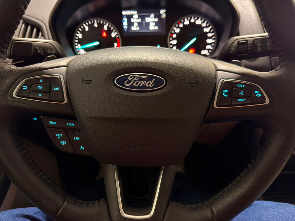 Ford EcoSport Cinza