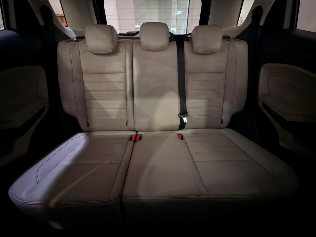 Ford EcoSport Cinza